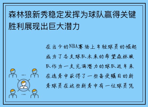 森林狼新秀稳定发挥为球队赢得关键胜利展现出巨大潜力