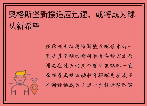 奥格斯堡新援适应迅速，或将成为球队新希望