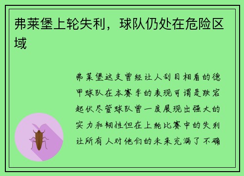 弗莱堡上轮失利，球队仍处在危险区域